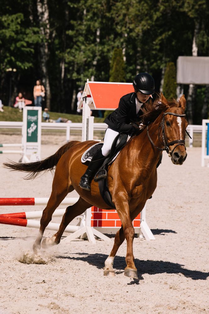 Photograph by Виктория Гаврикова