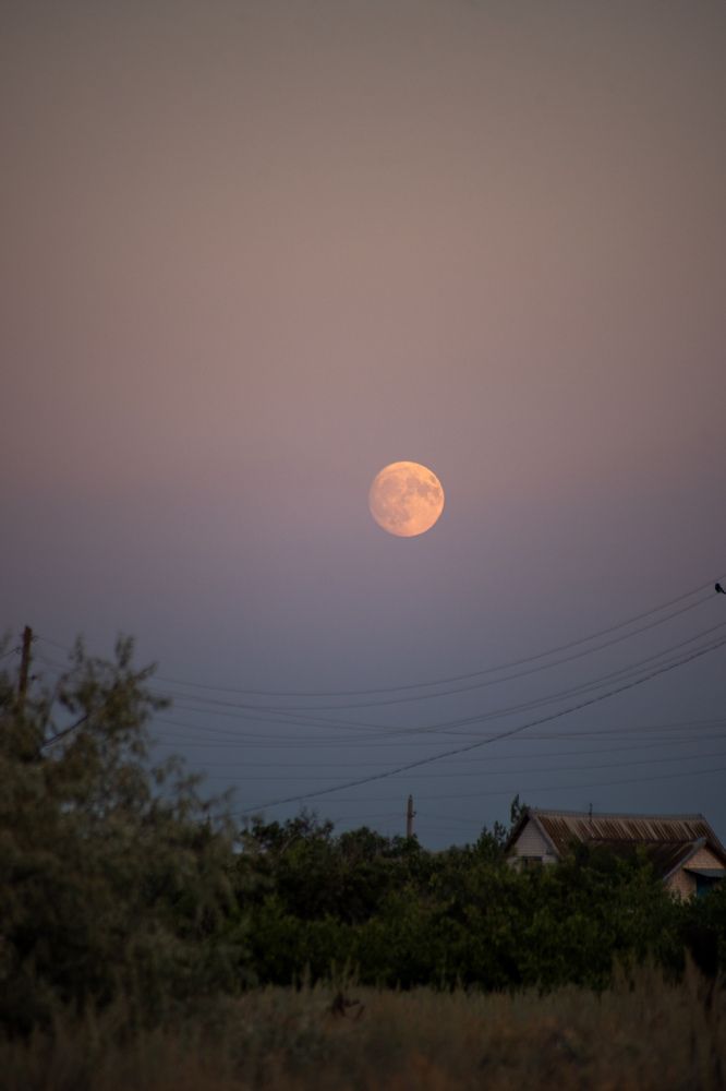 Photograph by Алина Орлова