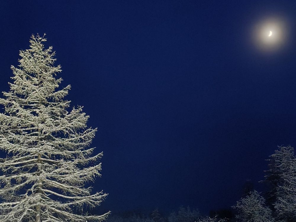 Photograph by OLGA MIKHNEVICH