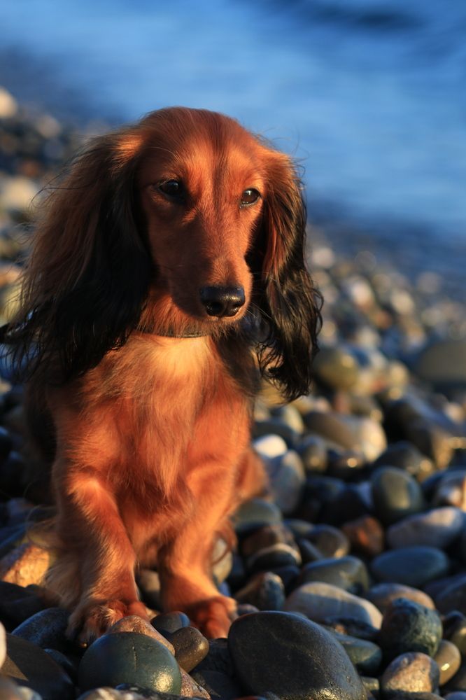 Photograph by Юлия Щетинина