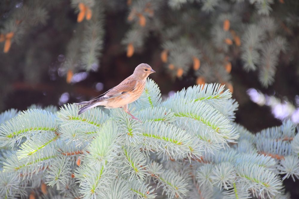 Photograph by Ксения Лебедева