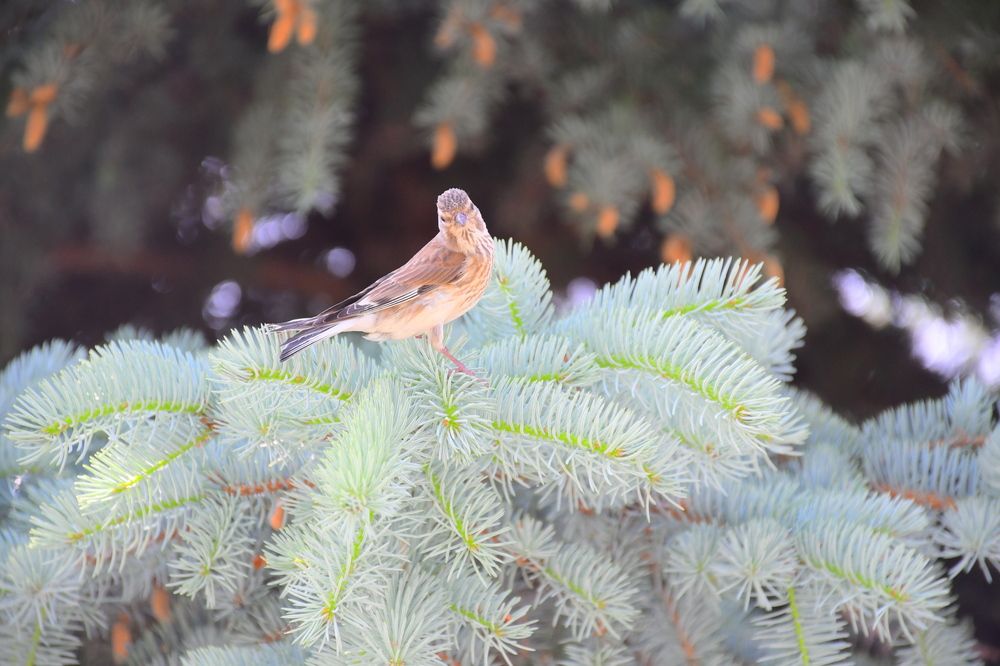 Photograph by Ксения Лебедева