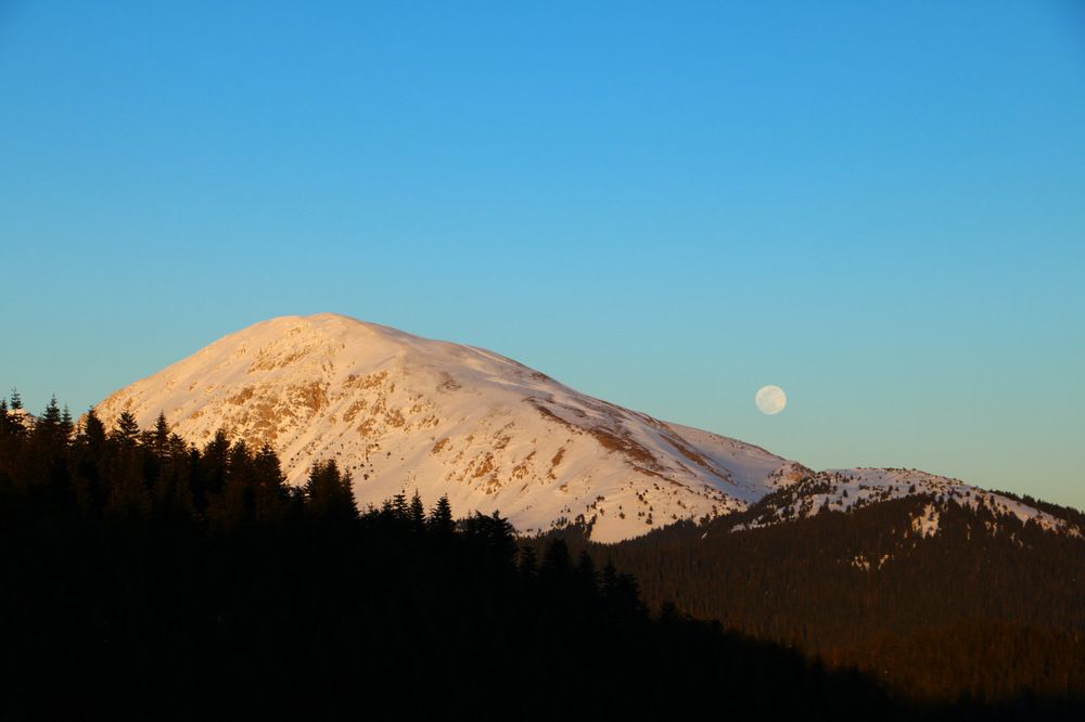 Photograph by Cengiz Yalcin