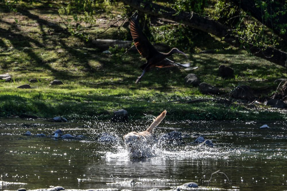 Photograph by Ricardo Kimmich