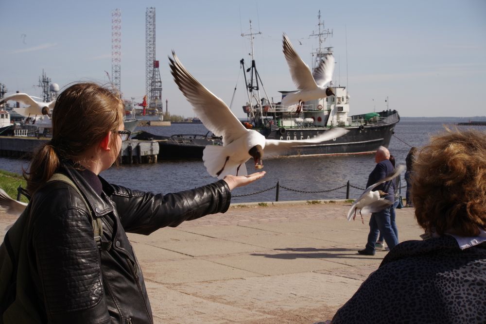 Photograph by Андрей Корытов