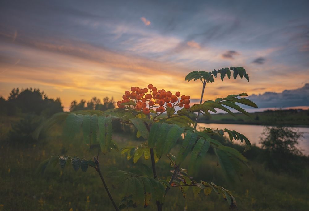 Photograph by Кирилл Сидоров