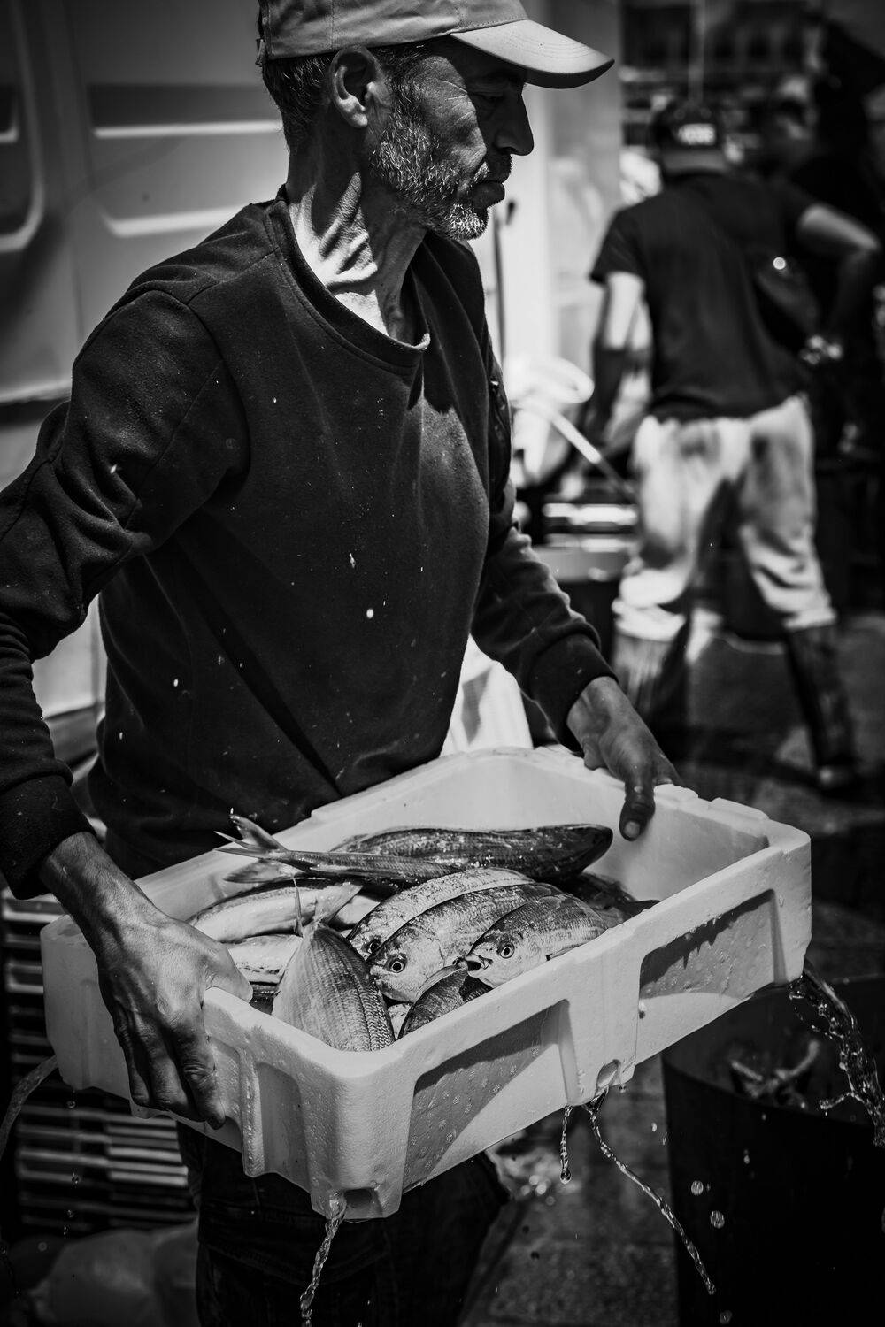 Фотография #12447267