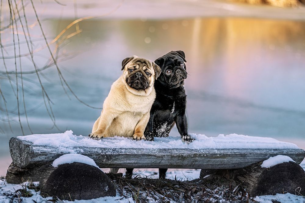 Photograph by Милана Бабченко