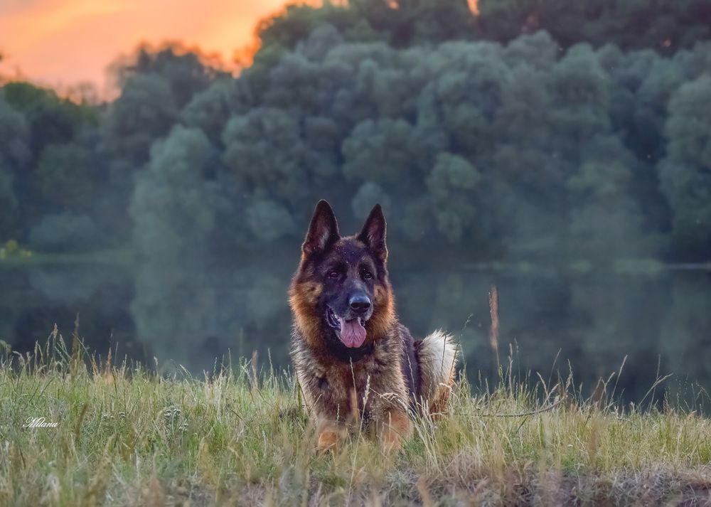 Photograph by Милана Бабченко