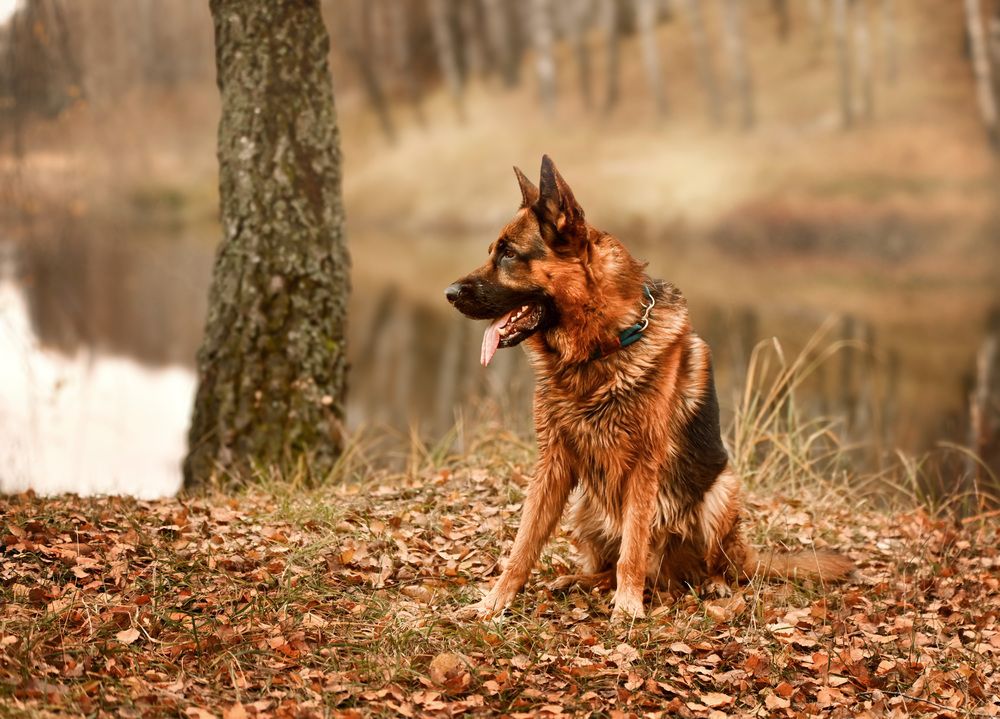 Photograph by Милана Бабченко