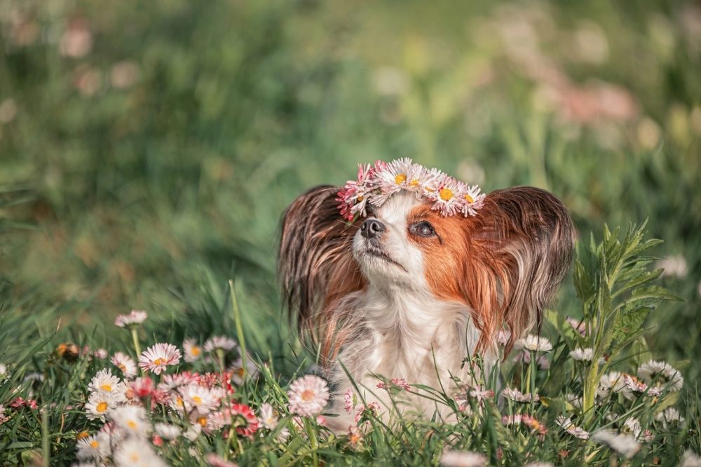 Photograph by Милана Бабченко