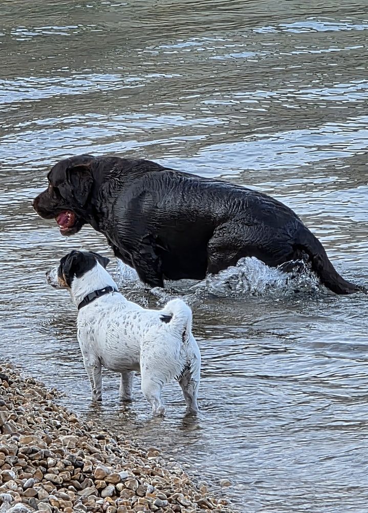 Photograph by Куделенко Оксана