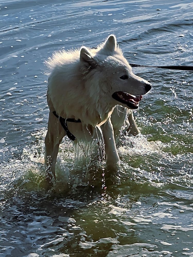 Photograph by Куделенко Оксана