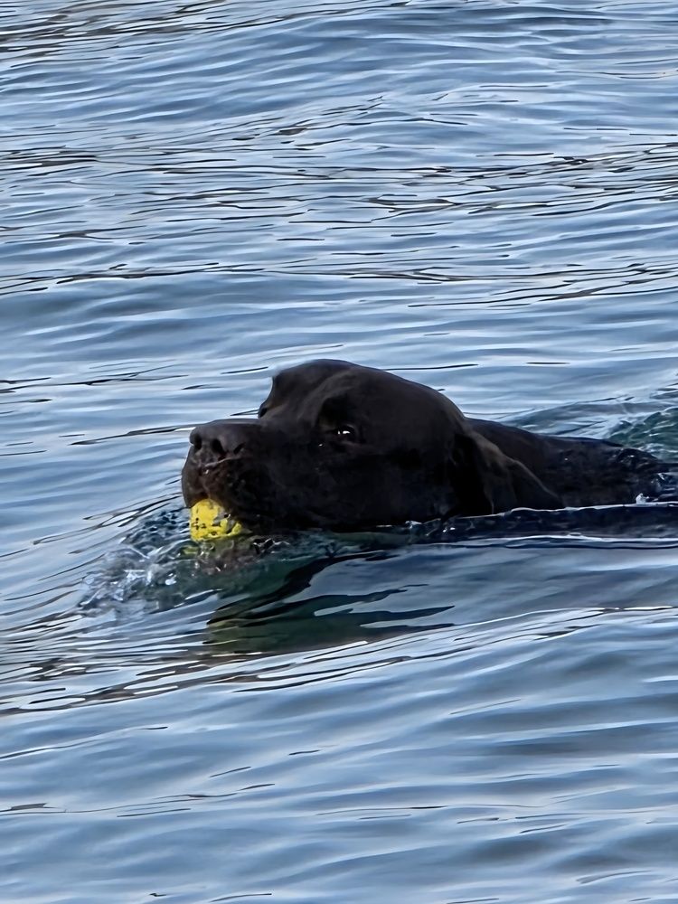 Photograph by Куделенко Оксана