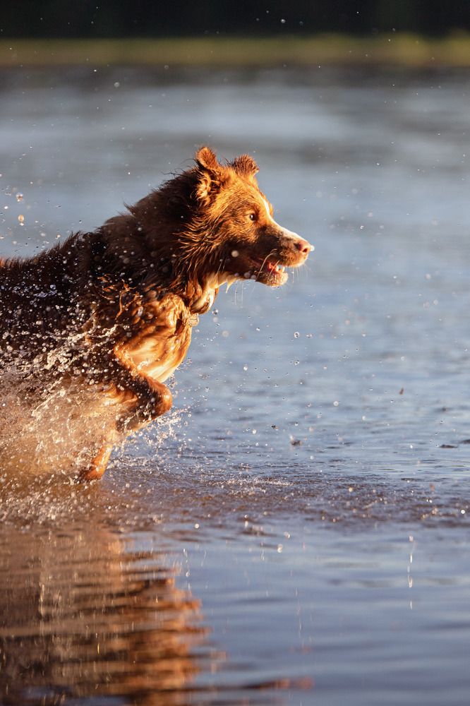 Photograph by Юлия Микульская