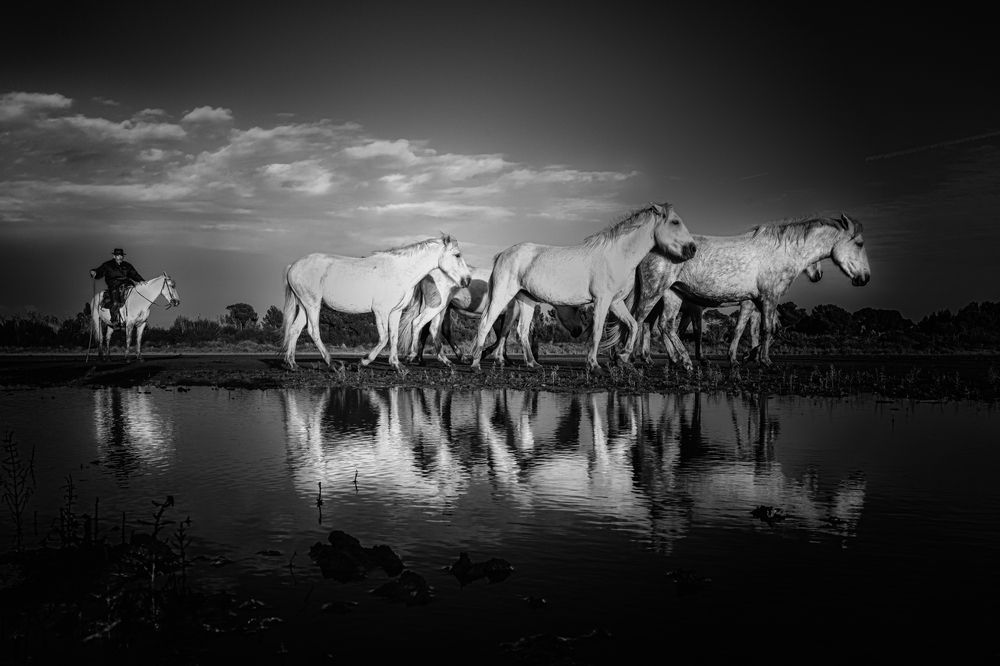 Water reflections, white memory
