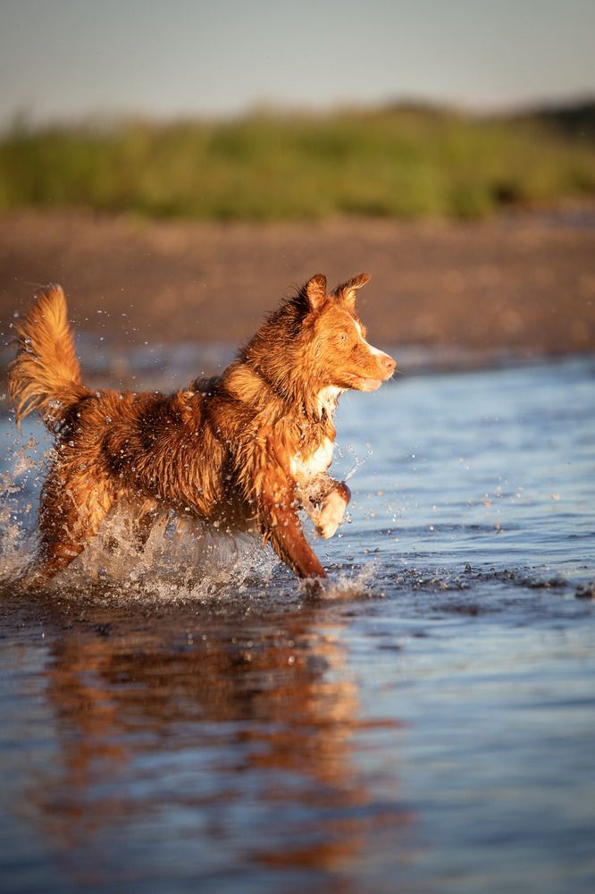 Photograph by Юлия Микульская