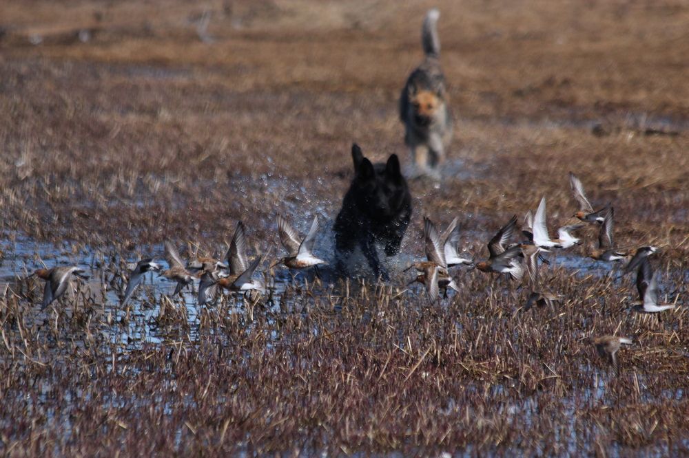 Photograph by Александр Велигура