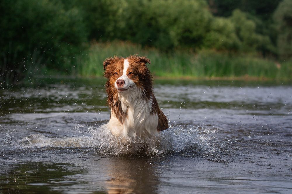 Photograph by Ольга Кузина