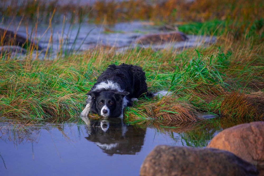Фотография автора Ольга Кузина