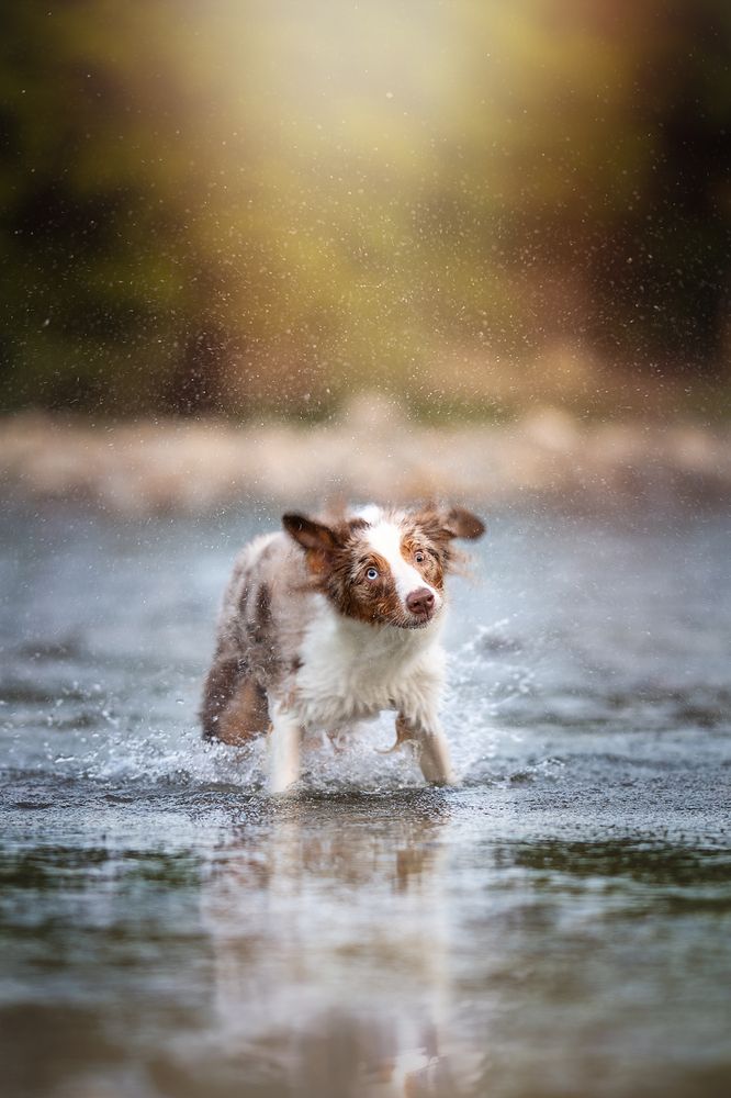 Photograph by Ирина Голомб