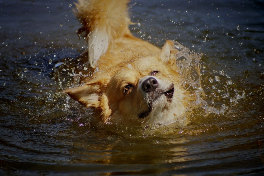 Photograph by Yana Egorova