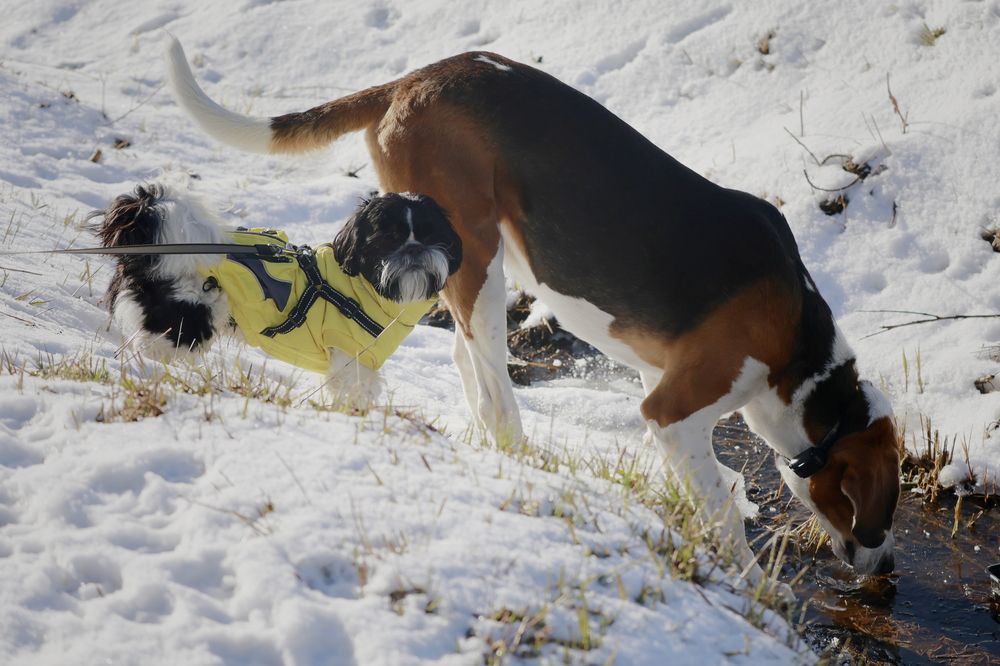 Photograph by Yana Egorova