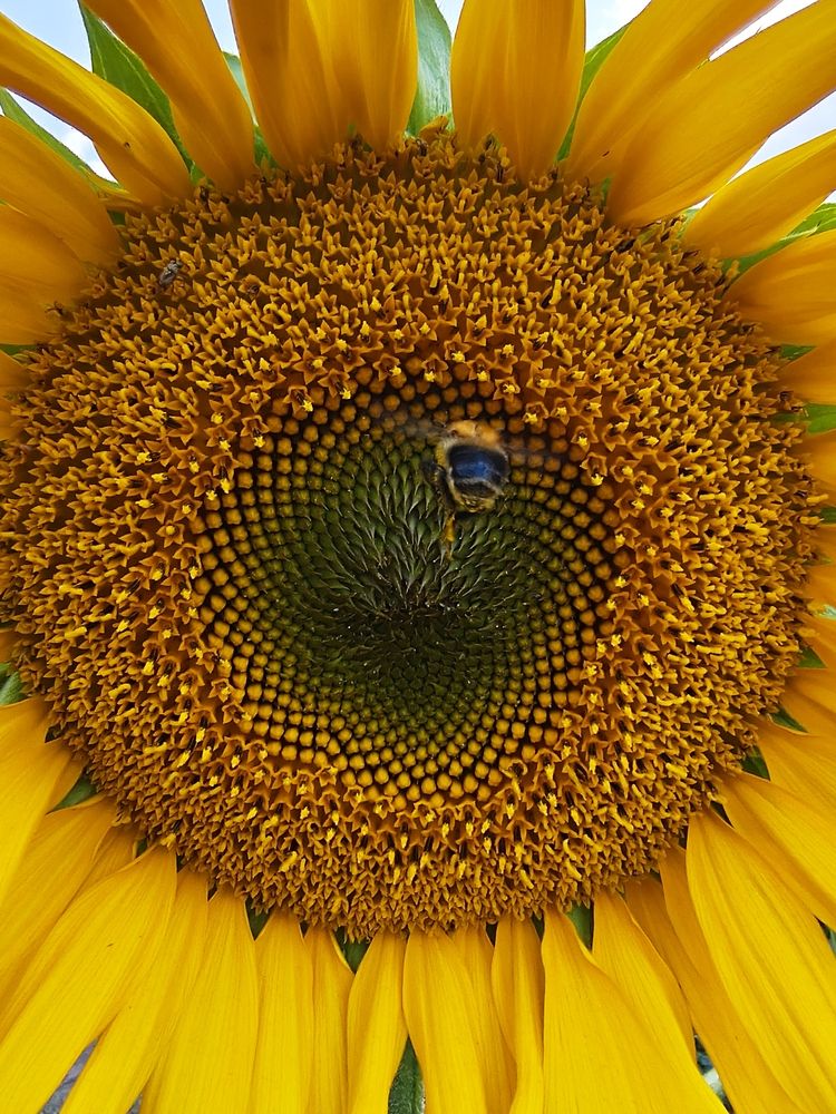 Photograph by Татьяна Пятернёва