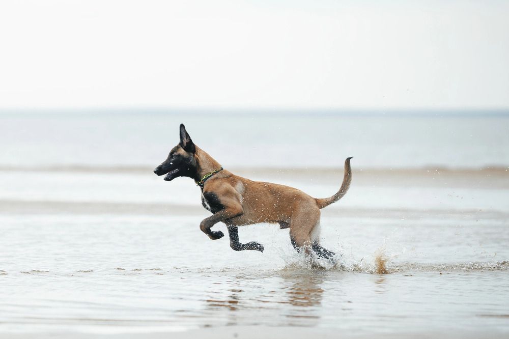 Photograph by Мария Романова