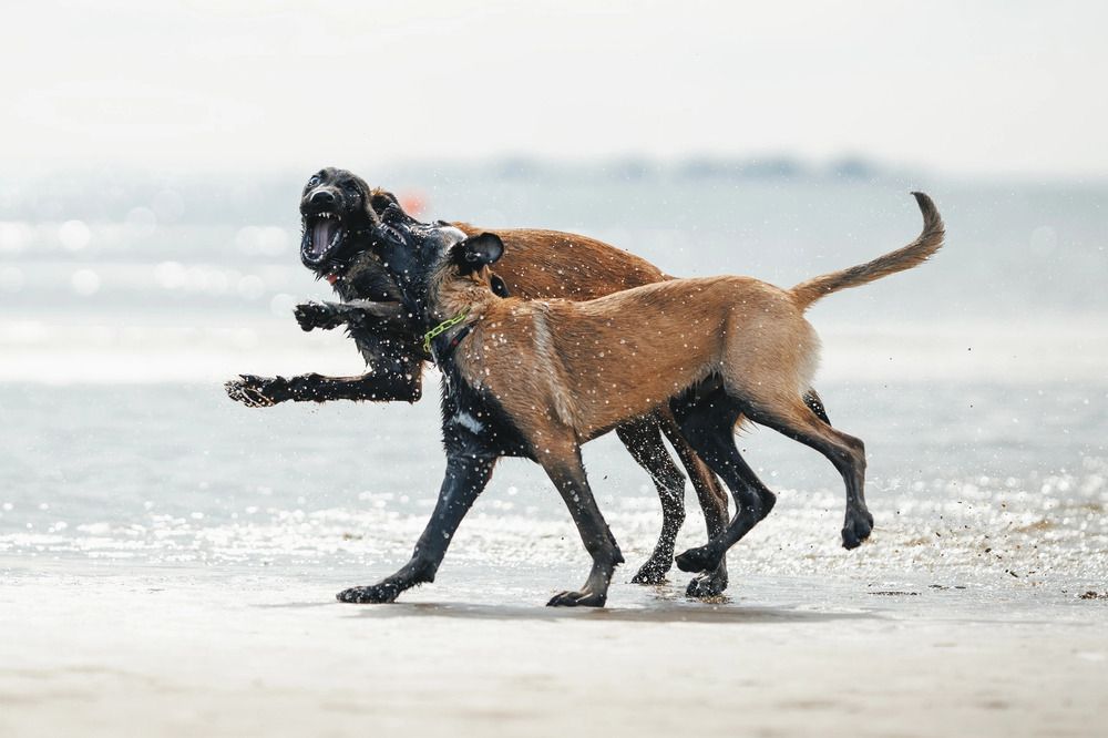 Photograph by Мария Романова