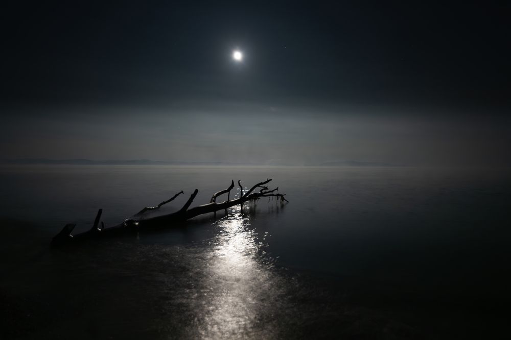 Photograph by Елена Вторушина