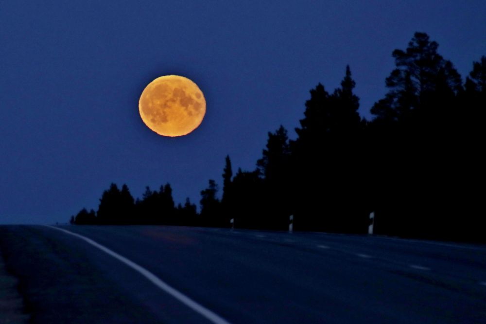 Photograph by Александр Велигура