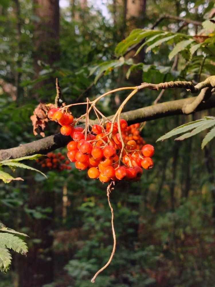 Photograph by Елена Азанова