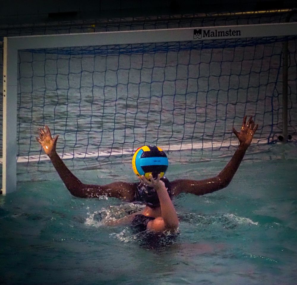 Фотография автора Camilo Rojas