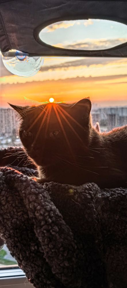 Photograph by Аня Проскурякова