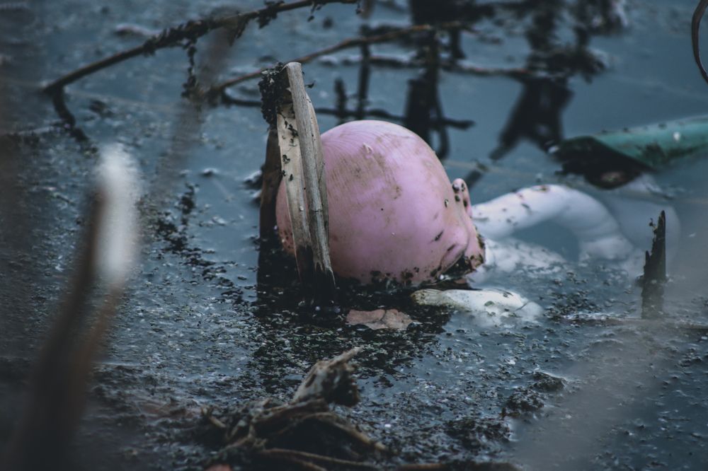 Photograph by Аня Проскурякова