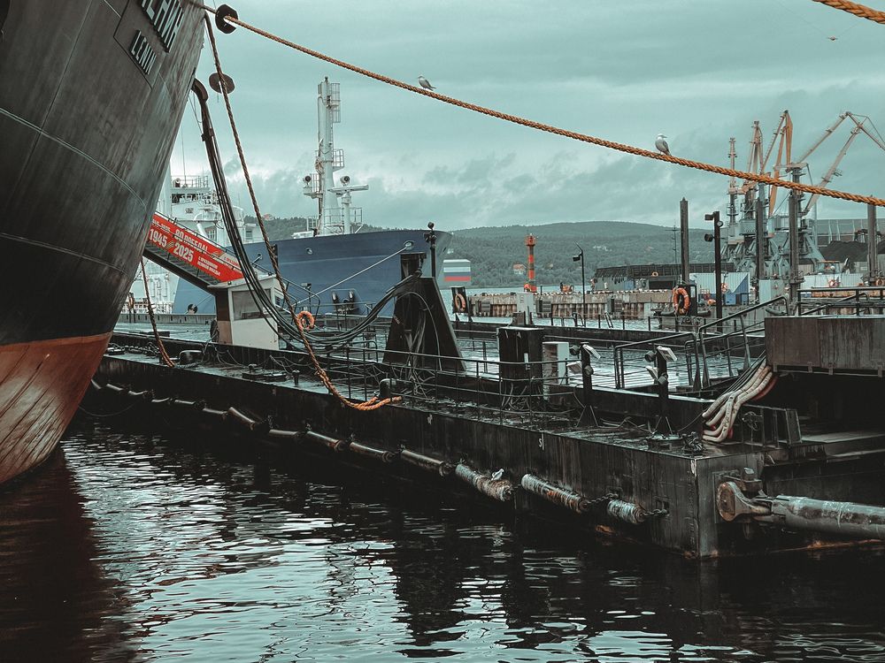 Photograph by Светлана Смук