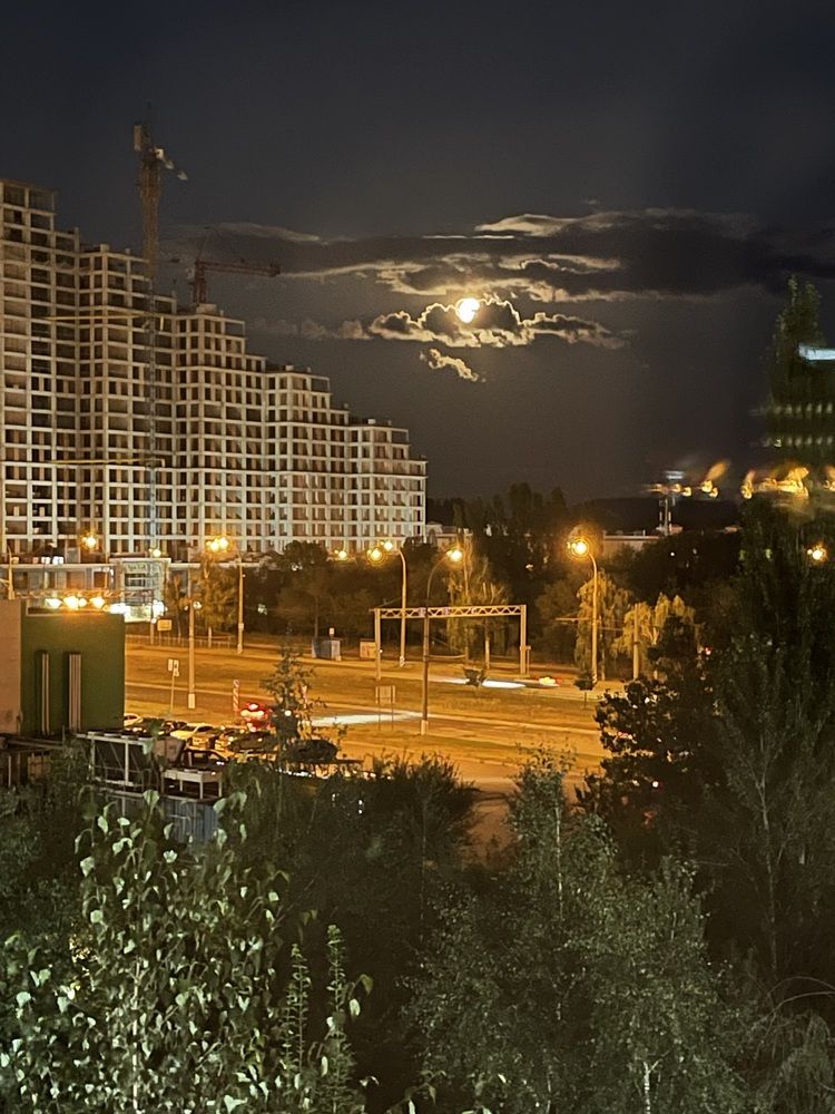 Photograph by Светлана Смук