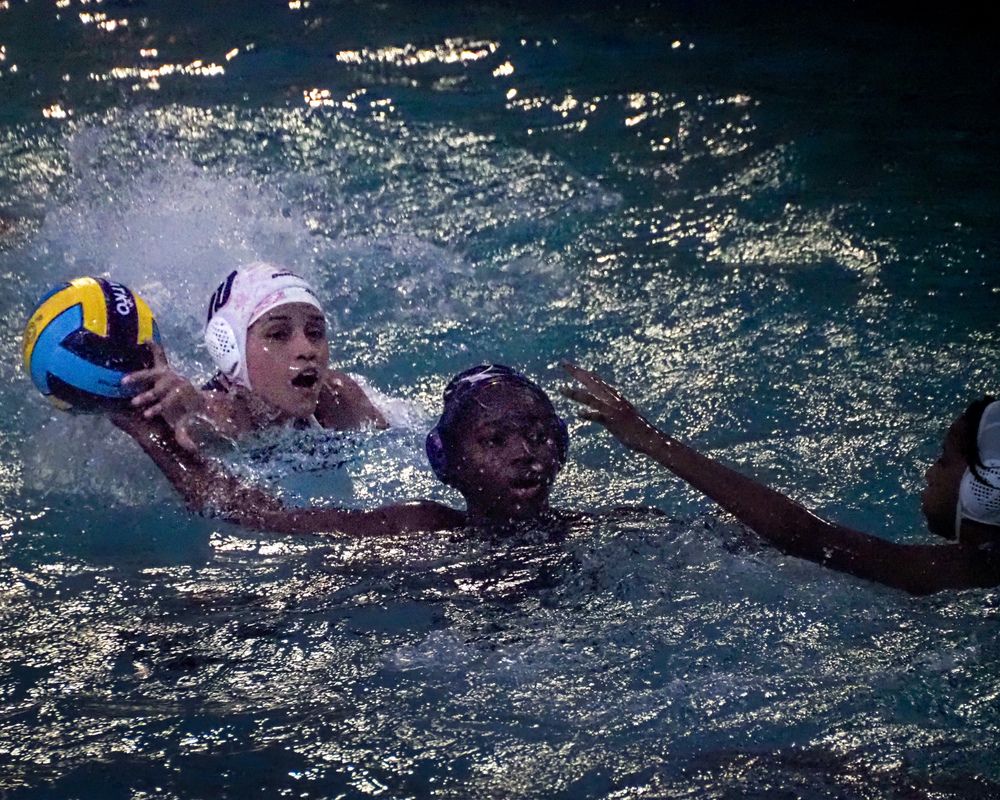 Фотография автора Camilo Rojas