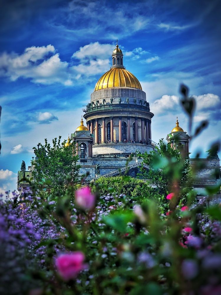 Photograph by Алена Самошина