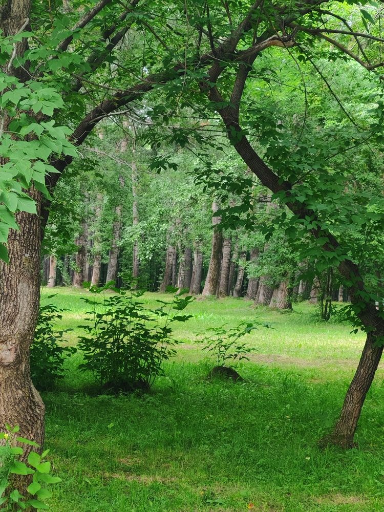 Photograph by Наталья Шендяпина