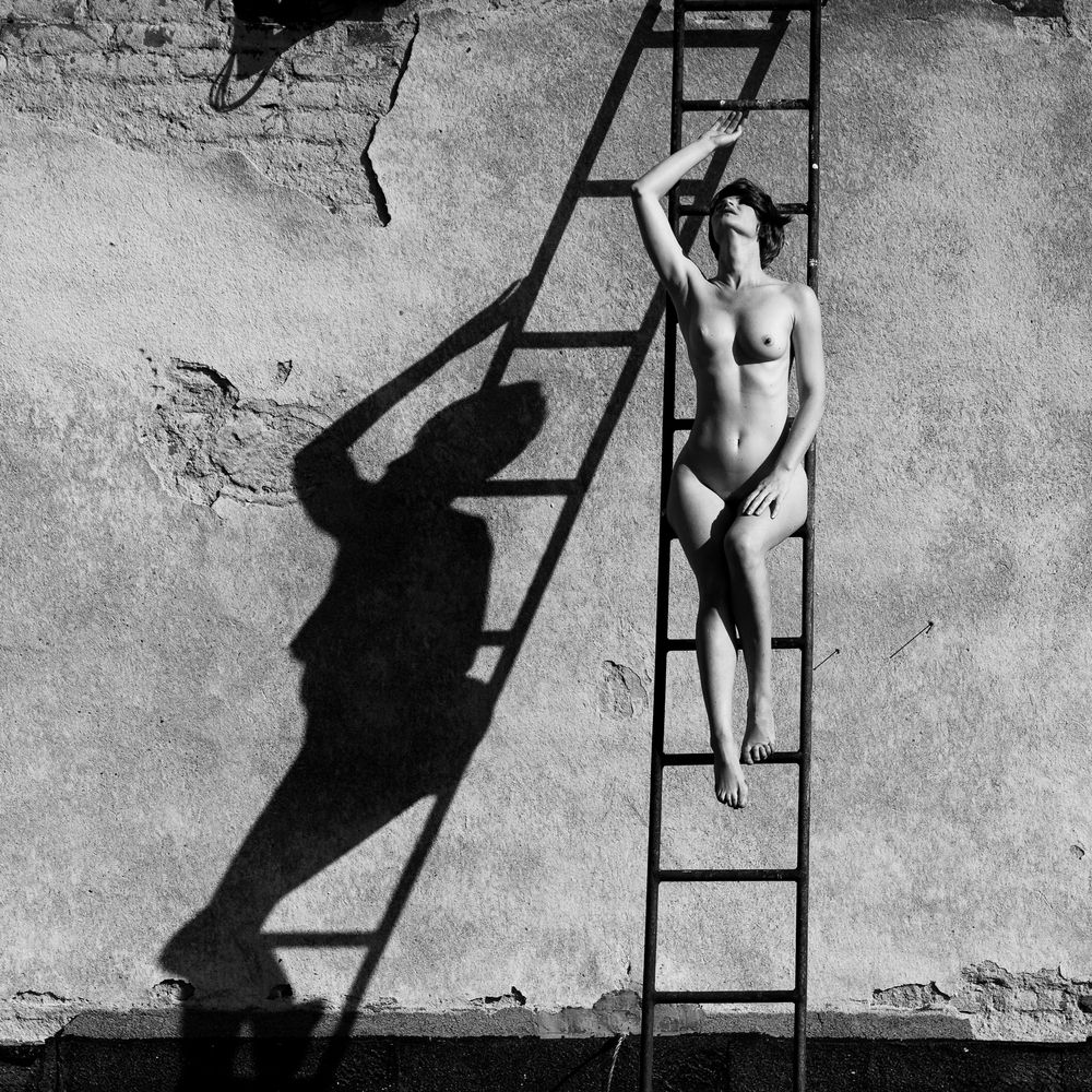 Ladder and shadow