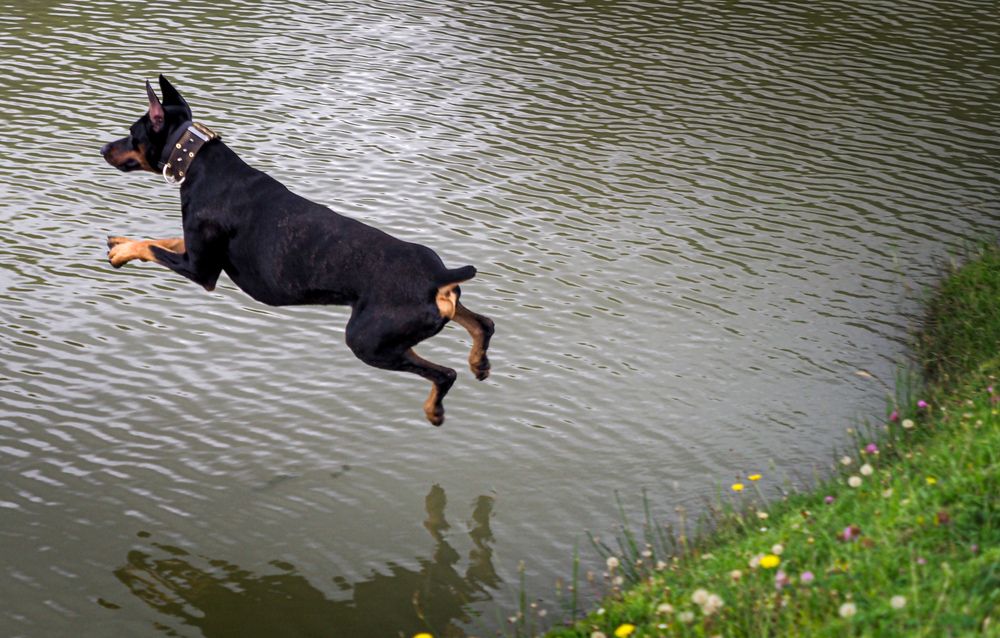 Фотография автора Camilo Rojas