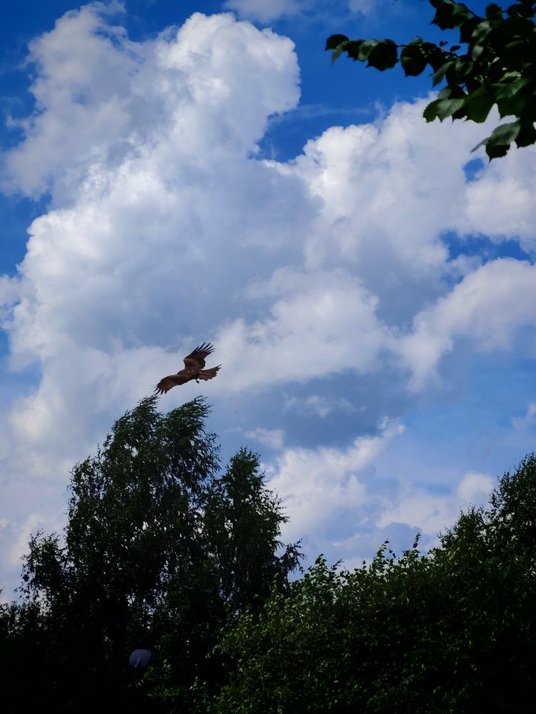 Фотография автора Наталья Шендяпина