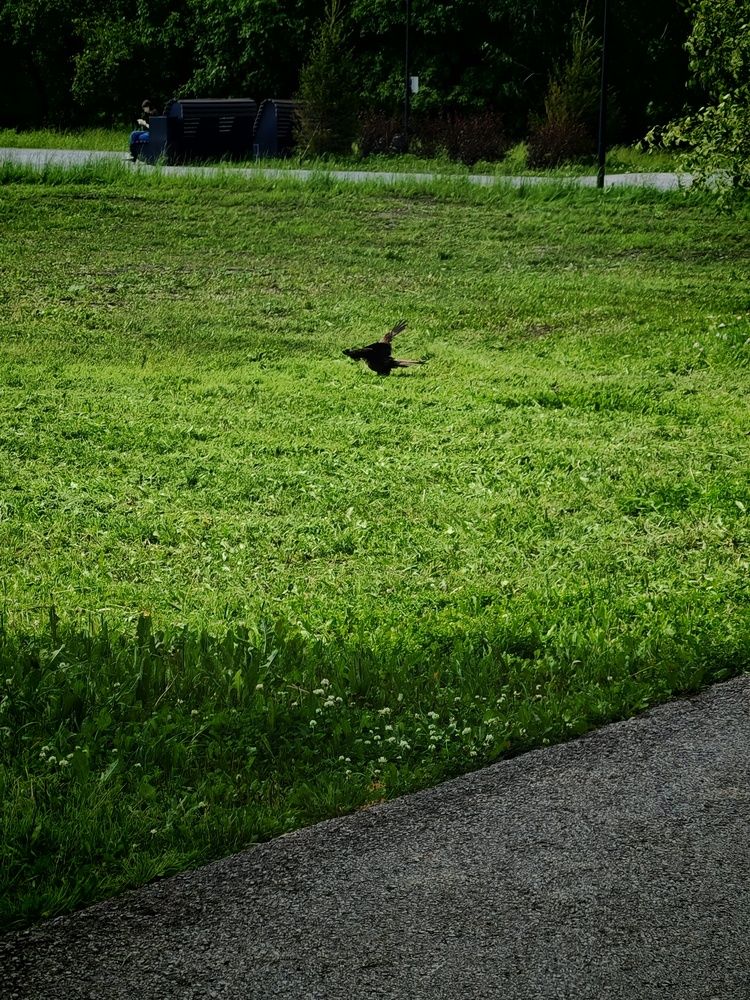 Фотография автора Наталья Шендяпина