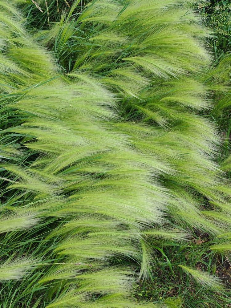 Фотография автора Наталья Шендяпина