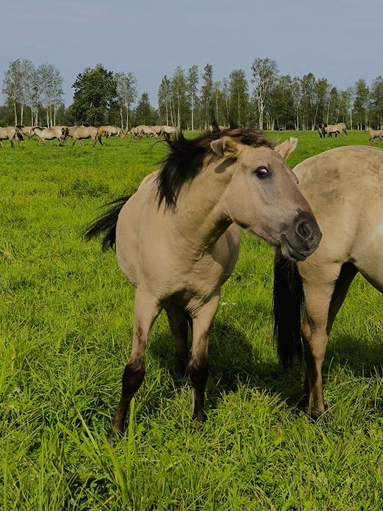 Фотография автора Татьяна Яцкевич