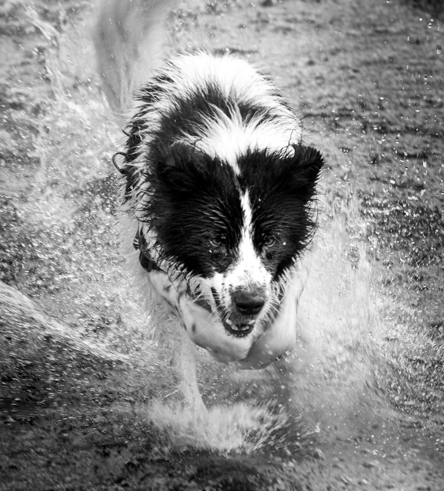 Фотография автора Camilo Rojas