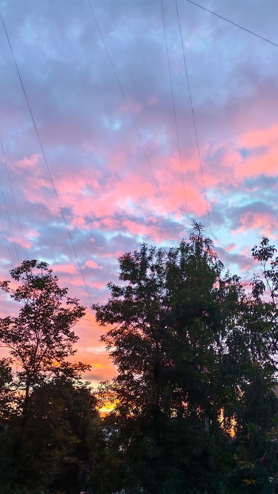 Фотография автора Наталья Шендяпина