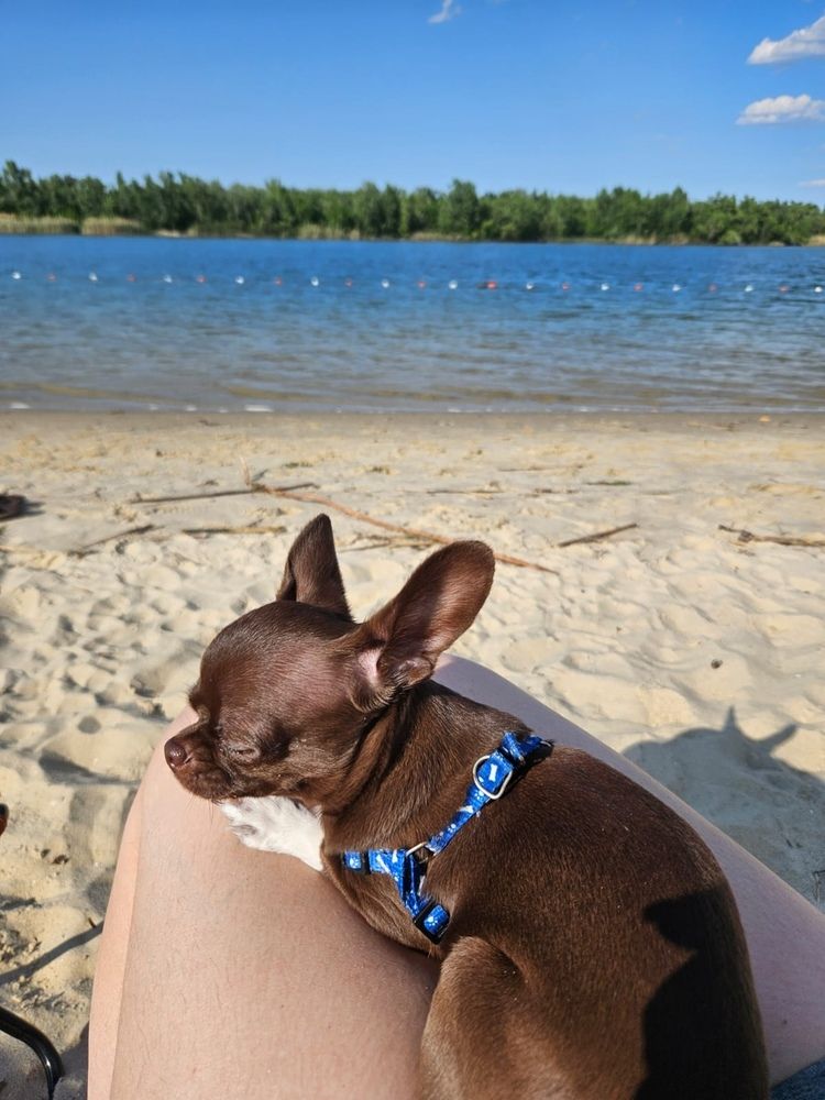 Photograph by Елизавета Слесарева